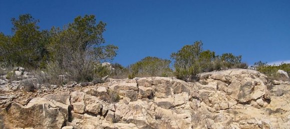 Terreno en Alcala De Xivert, Spain No. 184523 9