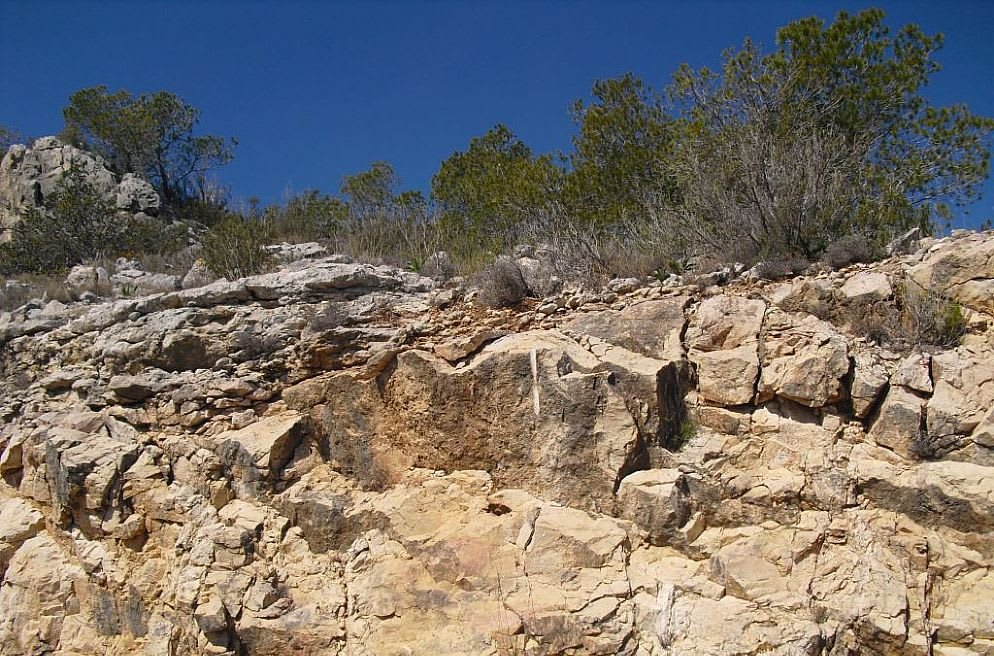 Terreno en Alcala De Xivert, Spain No. 184523