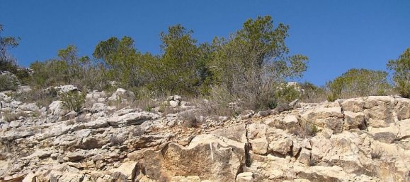 Terreno en Alcala De Xivert, Spain No. 184523 10