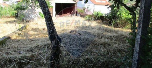 Casa de 3 dormitorios en Trancoso, Portugal No. 23584 13