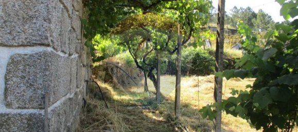 Casa de 3 dormitorios en Trancoso, Portugal No. 23584 16