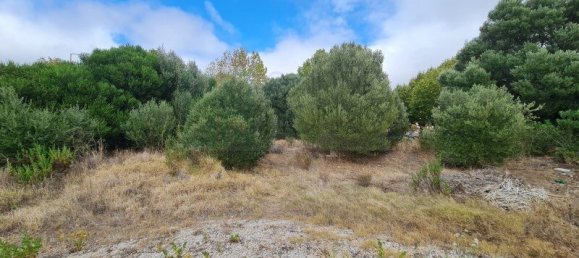 7085m² Land in Sintra, Portugal No. 184171 23