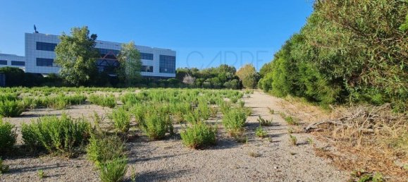 7085m² Land in Sintra, Portugal No. 184171 42