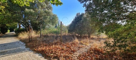 7085m² Land in Sintra, Portugal No. 184171 11