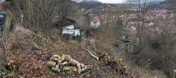 2088m² Land in Schmalkalden-Meiningen, Germany No. 225192 3