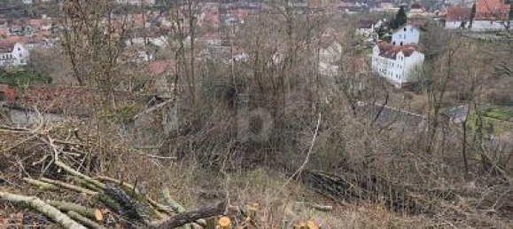 2088m² Land in Schmalkalden-Meiningen, Germany No. 225192 4