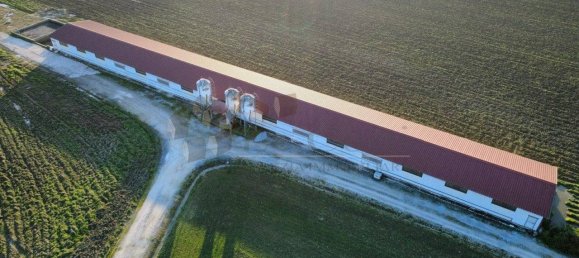 4غرفة مستودع في Albettone, Italy رقم 151869 4