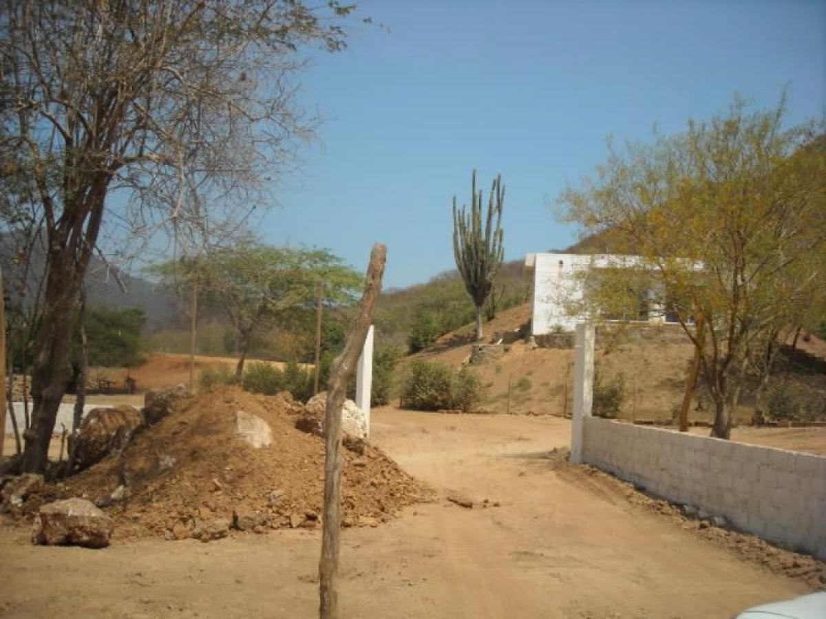  Land in Guadalajara de Buga, Colombia No. 264