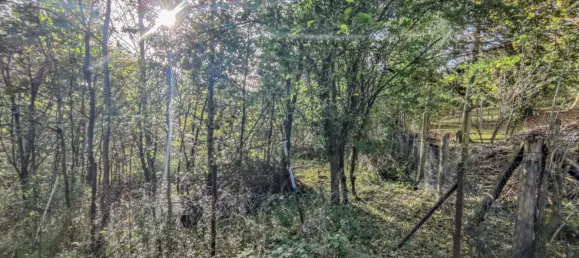 Terrain à Hameln-Pyrmont, Germany No. 134751 6