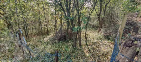 Terrain à Hameln-Pyrmont, Germany No. 134751 5