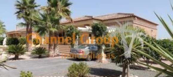 4 chambres Maison à Dolores, Spain No. 21333 5