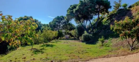 6 Schlafzimmer Haus in Estepona, Spain, Nr. 100765 22