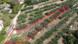 1-Zimmer Grundstück in Verona, Italy, Nr. 175444