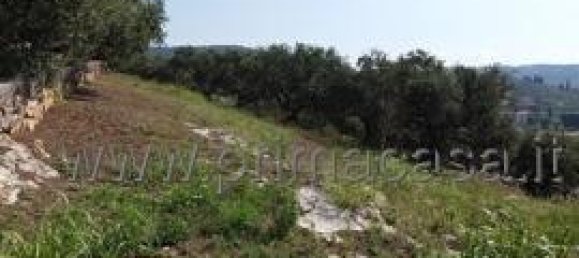 1-Zimmer Grundstück in Verona, Italy, Nr. 175444 6