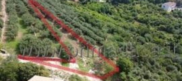 1-Zimmer Grundstück in Verona, Italy, Nr. 175444 2