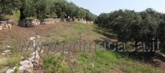 1-Zimmer Grundstück in Verona, Italy, Nr. 175444 7