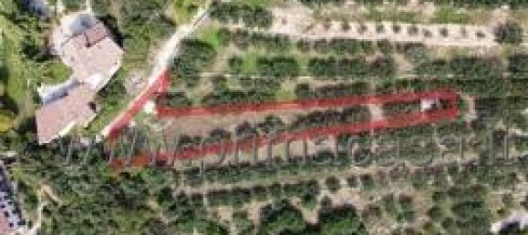 1-Zimmer Grundstück in Verona, Italy, Nr. 175444 4