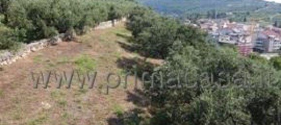 1-Zimmer Grundstück in Verona, Italy, Nr. 175444 8