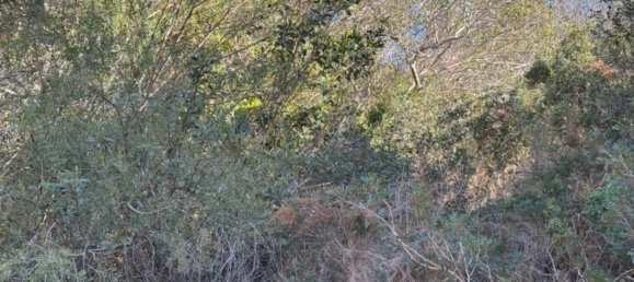 770m² Land in Benitachell, Spain No. 95844 14