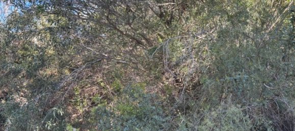 770m² Land in Benitachell, Spain No. 95844 15