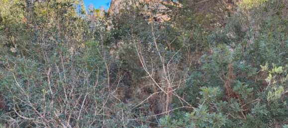 770m² Land in Benitachell, Spain No. 95844 13