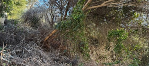 770m² Land in Benitachell, Spain No. 95844 6