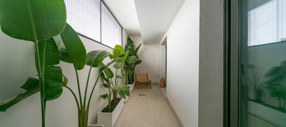 2 bedrooms Villa in Torrevieja, Spain No. 8719 15