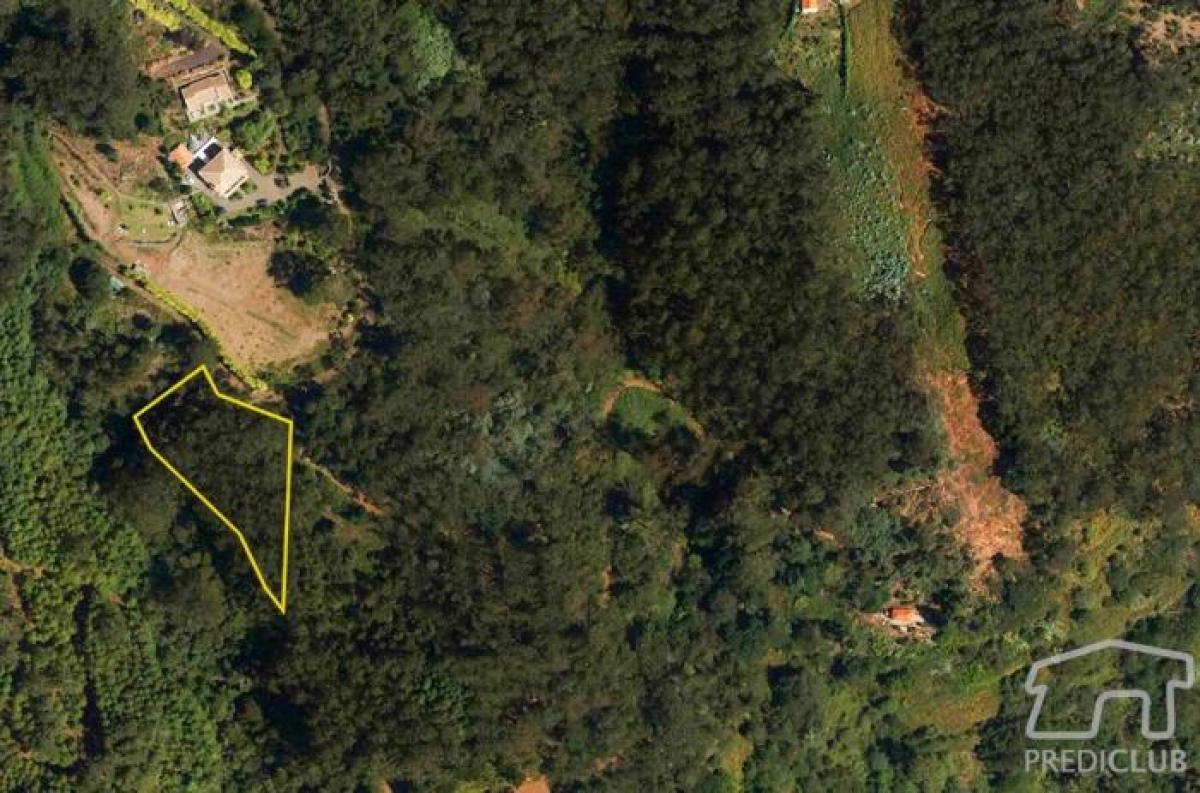  Land in Santa Cruz, Portugal No. 2225