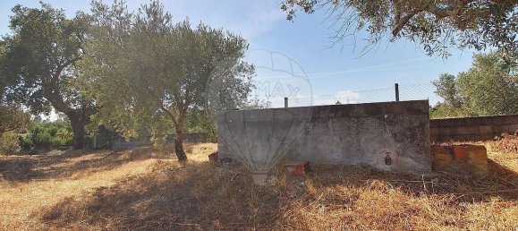 3 Schlafzimmer Haus in Longomel, Portugal, Nr. 70615 9