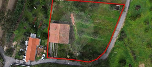 3 Schlafzimmer Haus in Longomel, Portugal, Nr. 70615 7