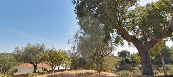 3 Schlafzimmer Haus in Longomel, Portugal, Nr. 70615 11