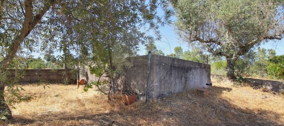 3 Schlafzimmer Haus in Longomel, Portugal, Nr. 70615 10