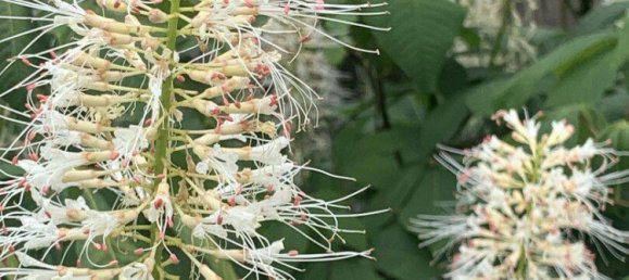 Casa de 3 dormitorios en Mainz-Bingen, Germany No. 227259 31