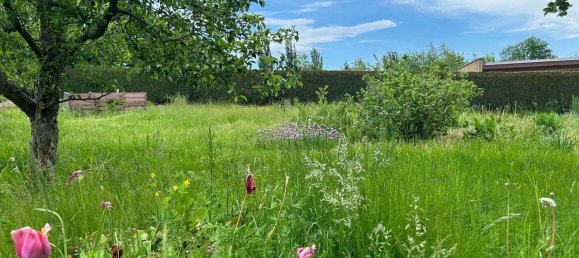 Земельный участок в Хемниц, Германия № 36789 40