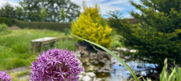 Земельный участок в Хемниц, Германия № 36789 33