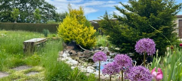 Земельный участок в Хемниц, Германия № 36789 32