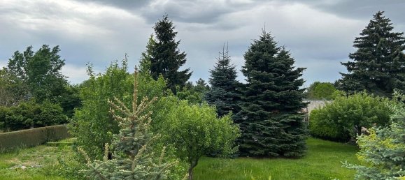 Земельный участок в Хемниц, Германия № 36789 4