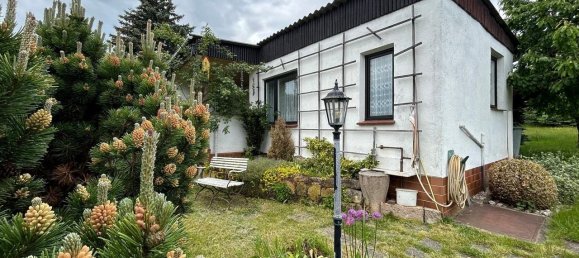 Земельный участок в Хемниц, Германия № 36789 15