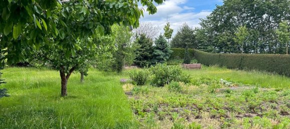 Земельный участок в Хемниц, Германия № 36789 36