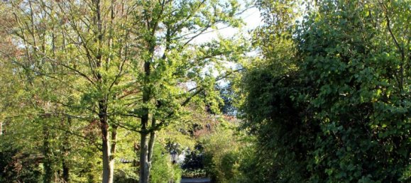 3 bedrooms Bungalow in Nienburg, Germany No. 137718 5