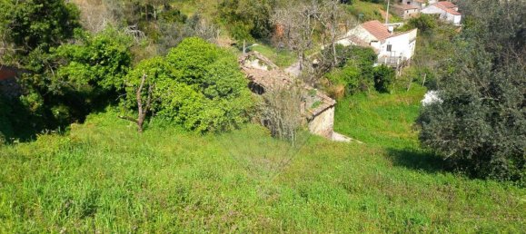 1 bedroom House in Alvaiazere, Portugal No. 186576 7