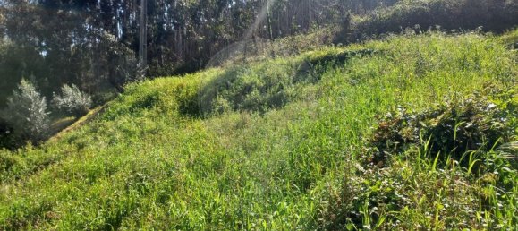 1 bedroom House in Alvaiazere, Portugal No. 186576 6