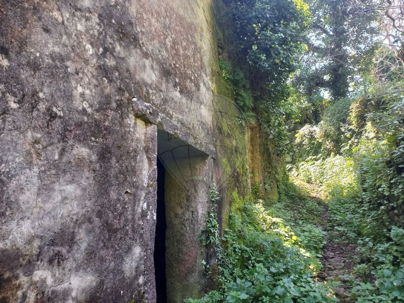 1 bedroom House in Alvaiazere, Portugal No. 186576