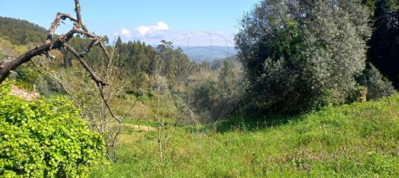 1 bedroom House in Alvaiazere, Portugal No. 186576 3