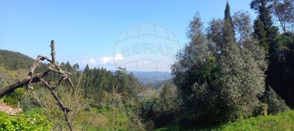 1 bedroom House in Alvaiazere, Portugal No. 186576 5