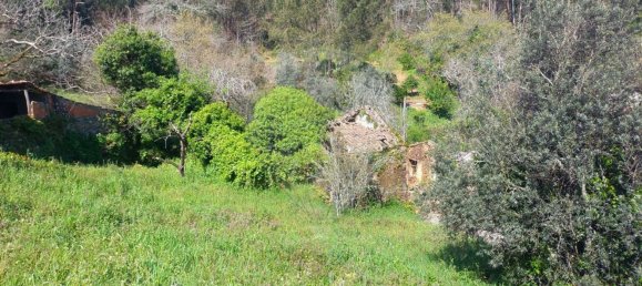 1 bedroom House in Alvaiazere, Portugal No. 186576 8