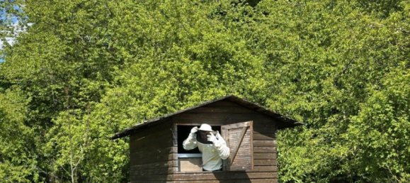 Grundstück in Regensburg, Germany, Nr. 363592 3