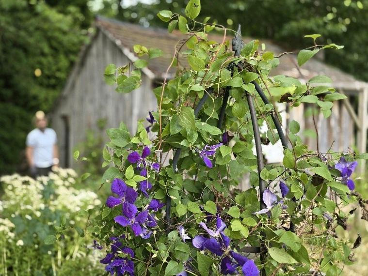 Grundstück in Regensburg, Germany, Nr. 363592