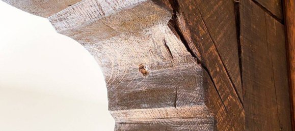 9غرفة مزرعة في Burscheid, Germany رقم 341186 13