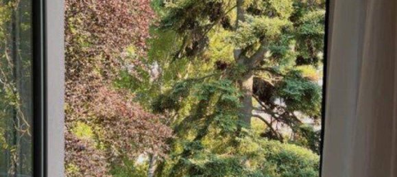 12-Zimmer Villa in Hinterbrühl, Austria, Nr. 249787 36